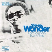 Stevie Wonder - Don't You Worry 'Bout a Thing