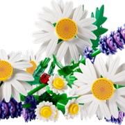 Bouquet of Daisies