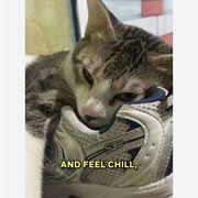 Comfortable With Stuff That Stinks of You