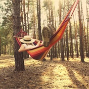 Hammock