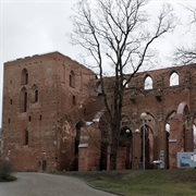 Tartu Cathedral