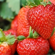 Truskawka Kaszubska (Poland)