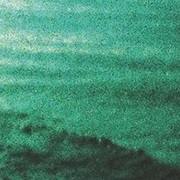 Joie De Vivre - We Are All Better Than This