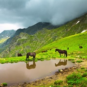 Stara Planina, Bulgaria / Serbia