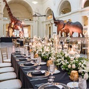 Wedding at Natural History Museum