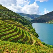 Douro  Valley, Portugal