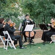Classic String Quartet