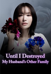 Until I Destroyed My Husband's Secret Family (2024)