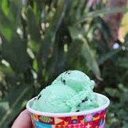 Mint Chocolate Chip Ice Cream