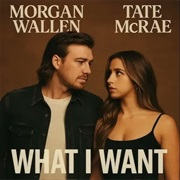 What I Want - Morgan Wallen Featuring Tate Mcrae