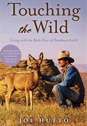 Touching the Wild (Joe Hutto)