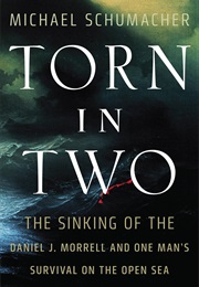 Torn in Two (Michael Schumacher)