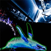 No Love in the House of God - Void_19### (2020)