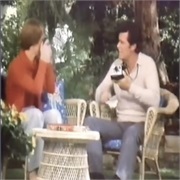 Polaroid: "Onestep/Sun System"