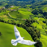 Pavillioned in Splendor, and Girded With Praise