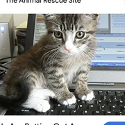 Demands Your Attention