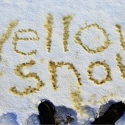 Pee on Snow