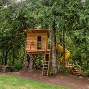 Tree House