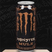Monster Energy Gingergade Mule - 473Ml - Canada