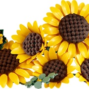 Bouquet of Sunflowers