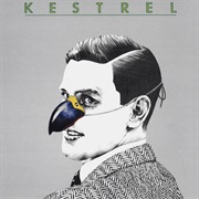 Kestrel - Last Request