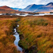 Rannoch Moor, Scotland, UK