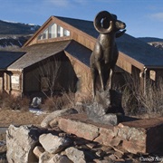 National Bighorn Sheep Center, Dubois, Wyoming