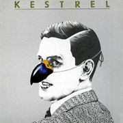 Kestrel - Acrobat