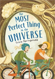 The Most Perfect Thing in the Universe (Tricia Springstubb)