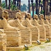 Avenue of the Sphinxes