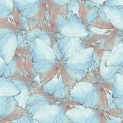 Yeti Let You Notice - Hontounokoto