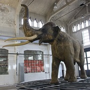 Braunsbreda, Germany