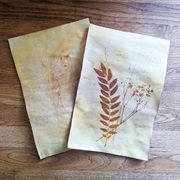 Sun Printing With Turmeric