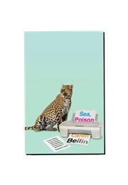 Sea, Poison (Caren Beilin)