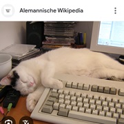 Wants to Be Near You