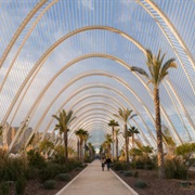 L'umbracle, Spain