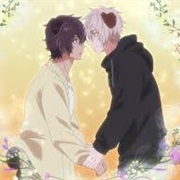 Caressing My Hibernating Bear