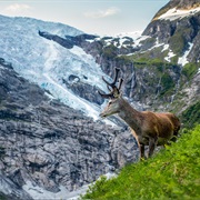 Jostedalsbreen National Park, Norway