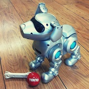 Tekno Dog