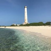 Cay Lobos, Bahamas