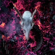 Colin Stetson - The Six