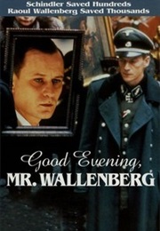 Good Evening, Mr. Wallenberg (1990)