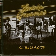 The Flamin' Groovies - In the U.S.A.