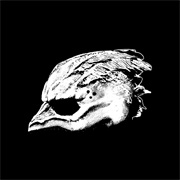 Legend of the Seagullmen - We Are the Seagullmen