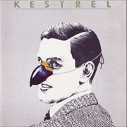 Kestrel - In the War