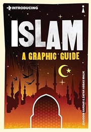 Introducing Islam: A Graphic Guide (Ziauddin Sardar)
