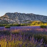 Montagne Sainte-Victoire, France