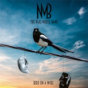 Neal Morse Band - Bird on a Wire
