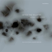 Jan Bang & Arve Henriksen  - After the Wildfire