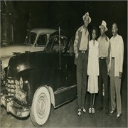 The Green Book: Guide to Freedom (2019)